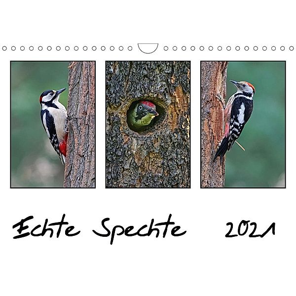 Echte Spechte (Wandkalender 2021 DIN A4 quer), Gerald Wolf