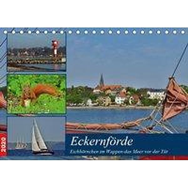 Eckernförde. Eichhörnchen im Wappen - das Meer vor der Tür (Tischkalender 2020 DIN A5 quer), René Schaack