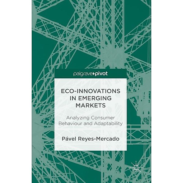 Eco-Innovations in Emerging Markets, Pável Reyes-Mercado