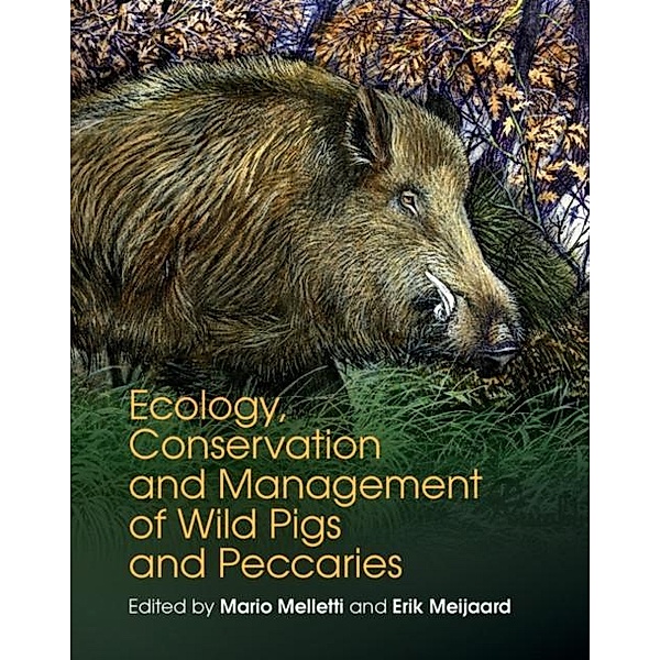 Ecology, Conservation and Management of Wild Pigs and Peccaries