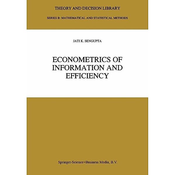 Econometrics of Information and Efficiency / Theory and Decision Library B Bd.25, Jati Sengupta