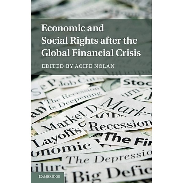 Economic and Social Rights after the Global Financial Crisis