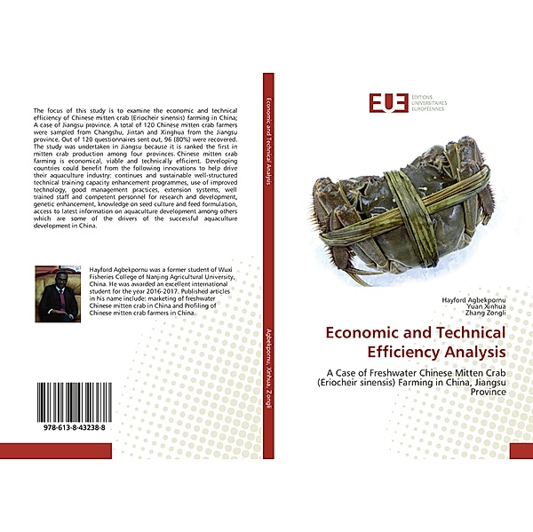 Economic and Technical Efficiency Analysis, Hayford Agbekpornu, Yuan Xinhua, Zhang Zongli