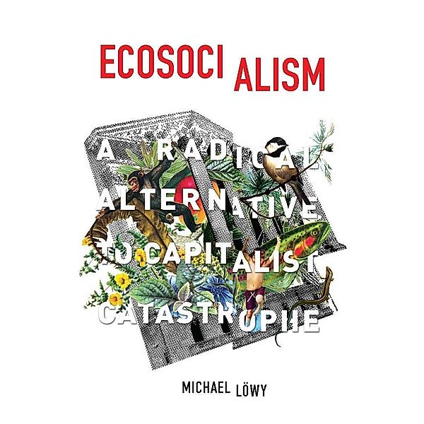 Ecosocialism, Michael Löwy