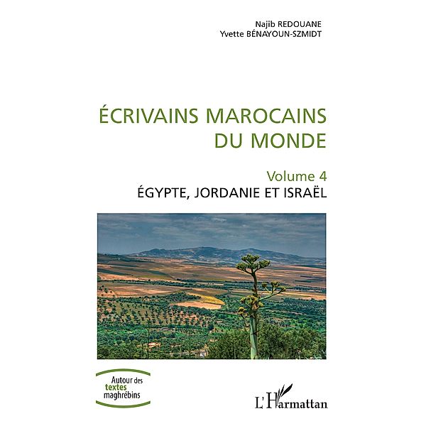 Ecrivains marocains du monde, Redouane Najib Redouane