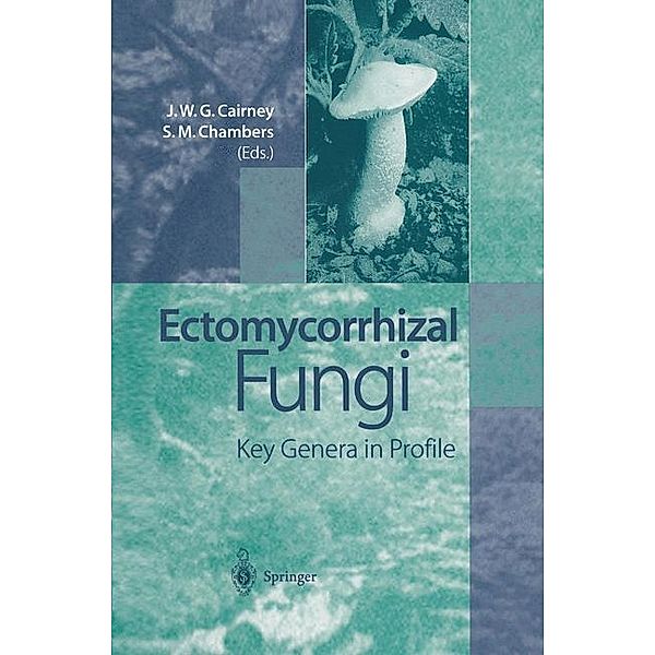 Ectomycorrhizal Fungi