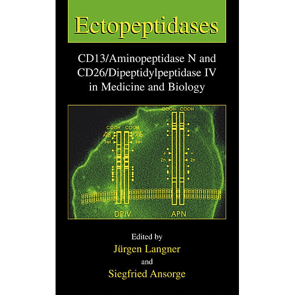 Ectopeptidases
