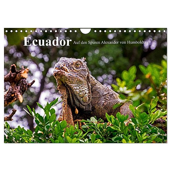 Ecuador - Auf den Spuren Alexander von Humboldts (Wandkalender 2024 DIN A4 quer), CALVENDO Monatskalender, Harry Müller