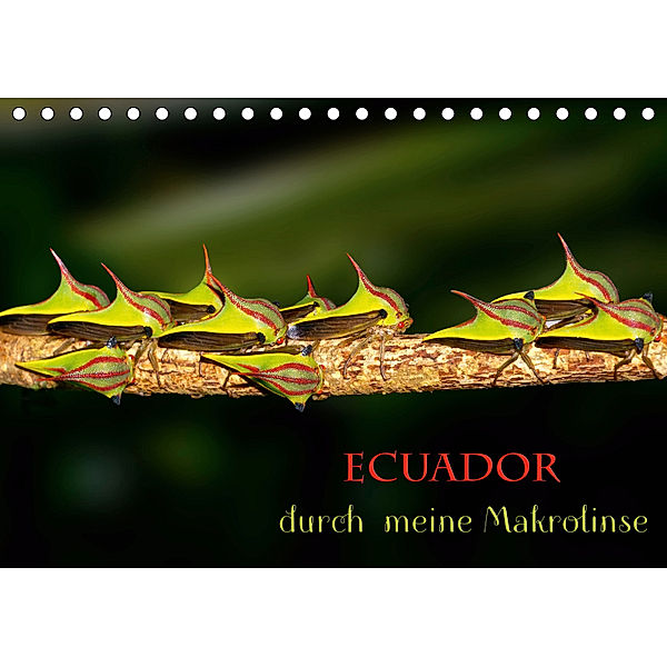 Ecuador durch meine Makrolinse (Tischkalender 2019 DIN A5 quer), Eerika Schulz