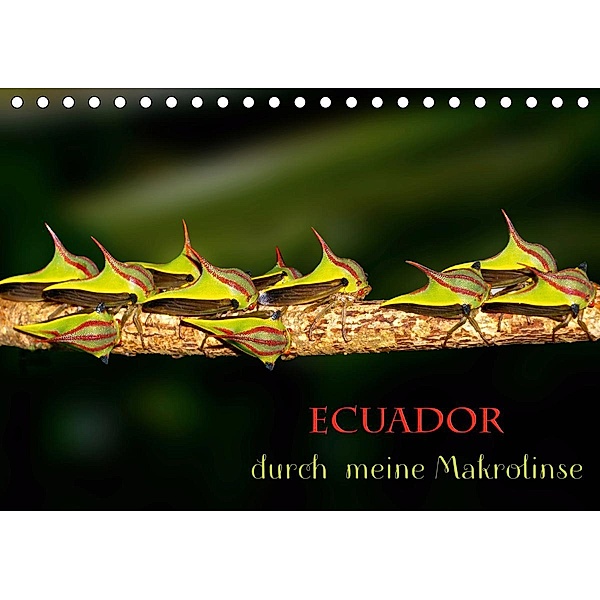 Ecuador durch meine Makrolinse (Tischkalender 2020 DIN A5 quer), Eerika Schulz