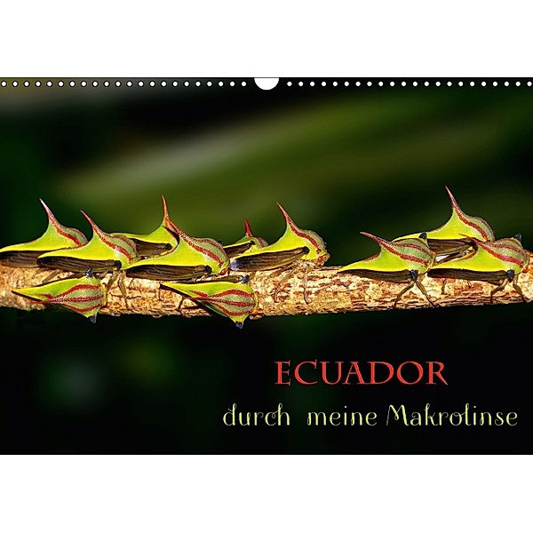 Ecuador durch meine Makrolinse (Wandkalender 2018 DIN A3 quer), Eerika Schulz