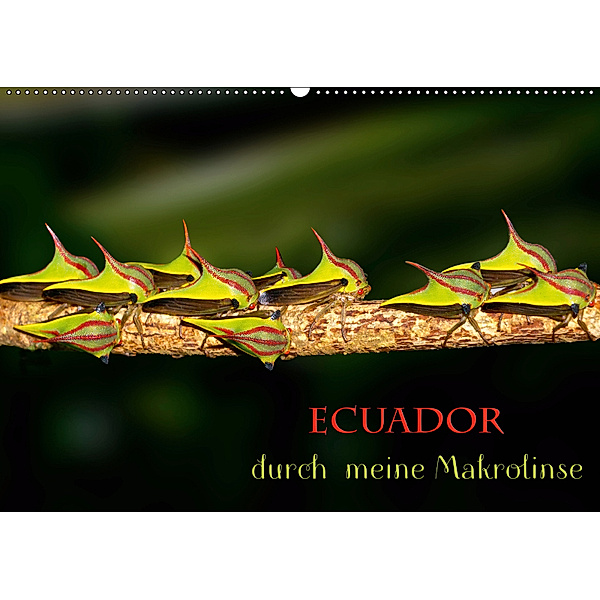 Ecuador durch meine Makrolinse (Wandkalender 2019 DIN A2 quer), Eerika Schulz