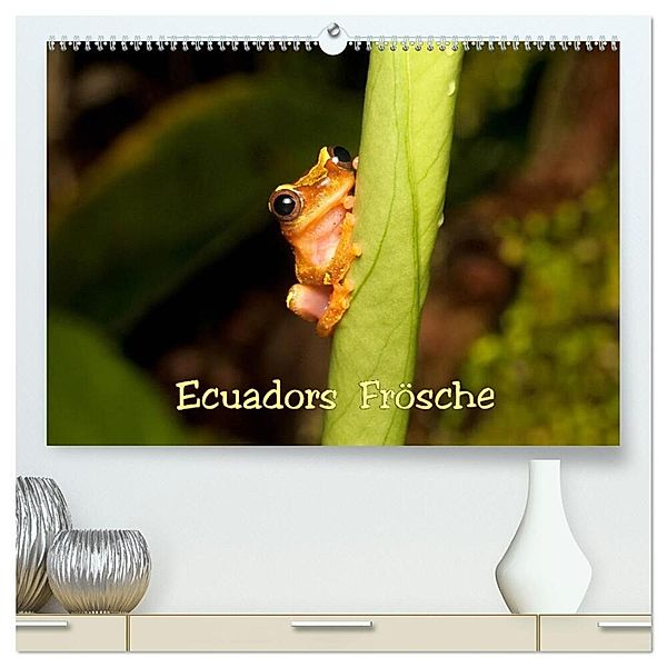 Ecuadors Frösche (hochwertiger Premium Wandkalender 2024 DIN A2 quer), Kunstdruck in Hochglanz, Eerika Schulz