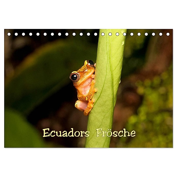 Ecuadors Frösche (Tischkalender 2024 DIN A5 quer), CALVENDO Monatskalender, Eerika Schulz