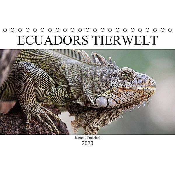 Ecuadors Tierwelt (Tischkalender 2020 DIN A5 quer), Jeanette Dobrindt