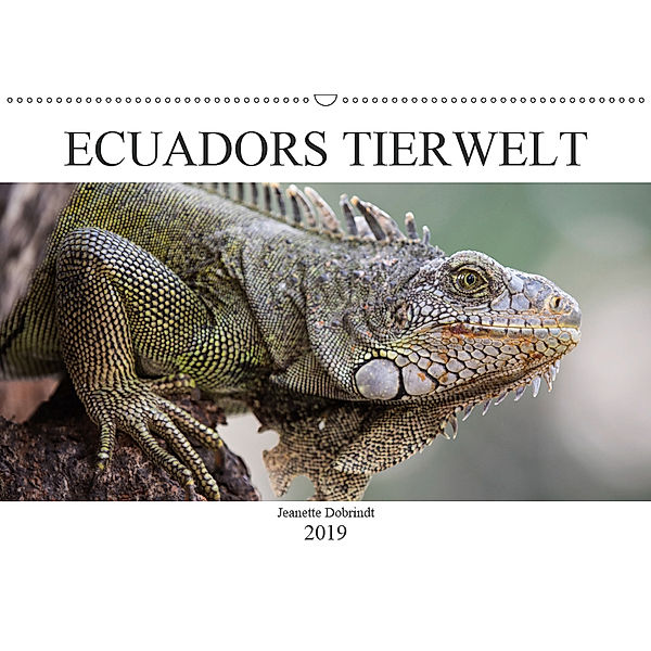 Ecuadors Tierwelt (Wandkalender 2019 DIN A2 quer), Jeanette Dobrindt