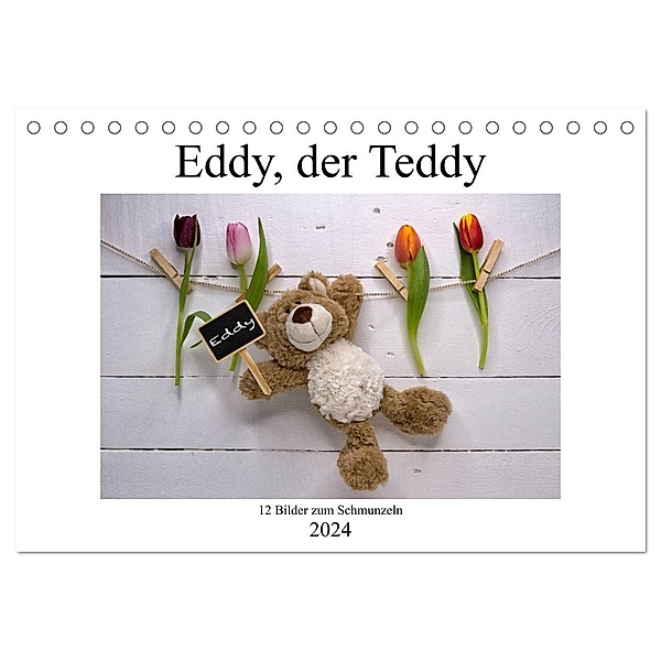 Eddy, der Teddy - 12 Bilder zum Schmunzeln (Tischkalender 2024 DIN A5 quer), CALVENDO Monatskalender, Immephotography
