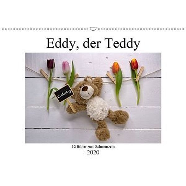 Eddy, der Teddy - 12 Bilder zum Schmunzeln (Wandkalender 2020 DIN A2 quer)