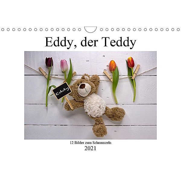 Eddy, der Teddy - 12 Bilder zum Schmunzeln (Wandkalender 2021 DIN A4 quer), Immephotography