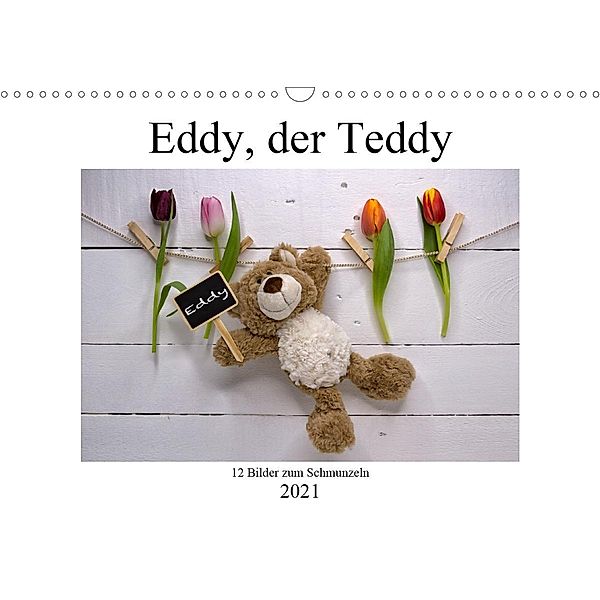 Eddy, der Teddy - 12 Bilder zum Schmunzeln (Wandkalender 2021 DIN A3 quer), Immephotography