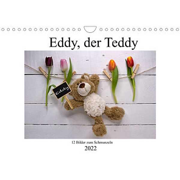 Eddy, der Teddy - 12 Bilder zum Schmunzeln (Wandkalender 2022 DIN A4 quer), Immephotography