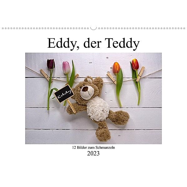 Eddy, der Teddy - 12 Bilder zum Schmunzeln (Wandkalender 2023 DIN A2 quer), Immephotography