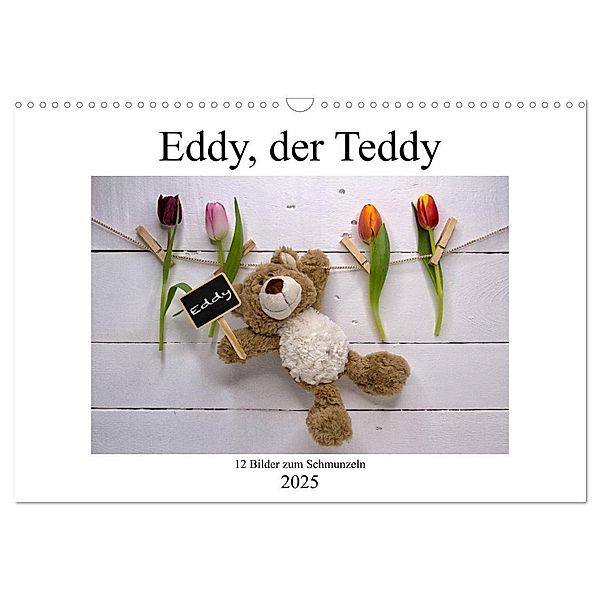 Eddy, der Teddy - 12 Bilder zum Schmunzeln (Wandkalender 2025 DIN A3 quer), CALVENDO Monatskalender, Calvendo, Immephotography