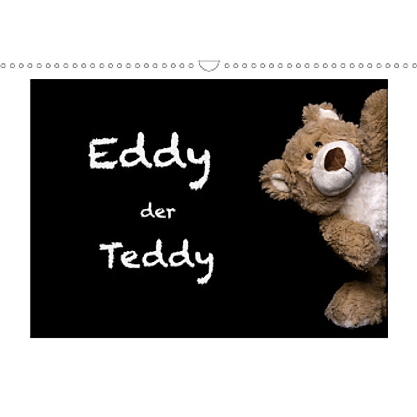 Eddy, der Teddy (Wandkalender 2021 DIN A3 quer), Immephotography