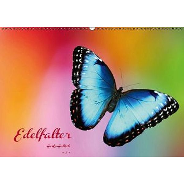 Edelfalter - 2 - (Wandkalender 2015 DIN A2 quer), Heike Hultsch