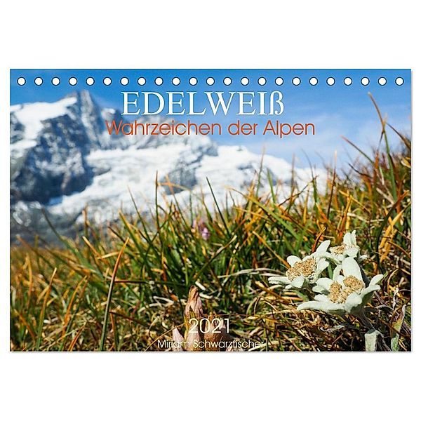 Edelweiss - Wahrzeichen der Alpen (Tischkalender 2024 DIN A5 quer), CALVENDO Monatskalender, Miriam Schwatzfischer