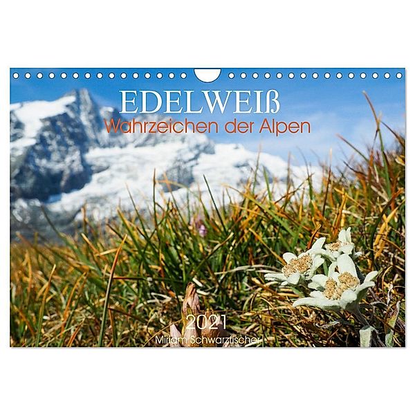 Edelweiss - Wahrzeichen der Alpen (Wandkalender 2024 DIN A4 quer), CALVENDO Monatskalender, Miriam Schwatzfischer