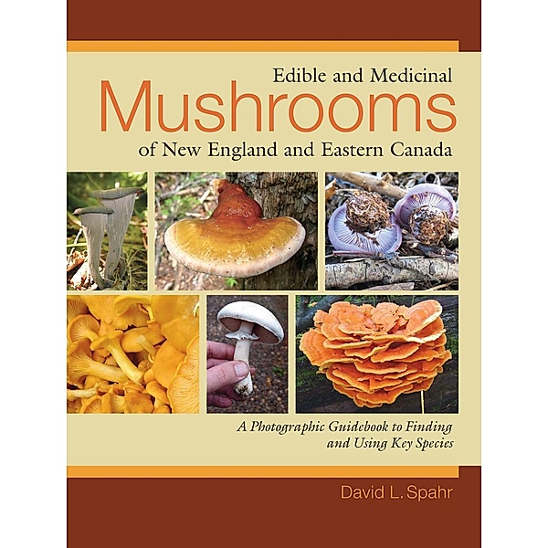 Edible and Medicinal Mushrooms of New England and Eastern Canada, David L. Spahr