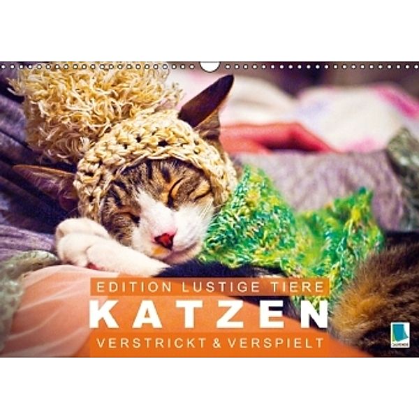Edition lustige Tiere: Katzen verstrickt und verspielt (Wandkalender 2015 DIN A3 quer), CALVENDO