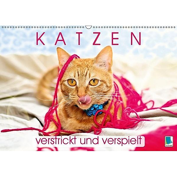 Edition lustige Tiere: Katzen - verstrickt und verspielt (Wandkalender 2019 DIN A2 quer), Calvendo