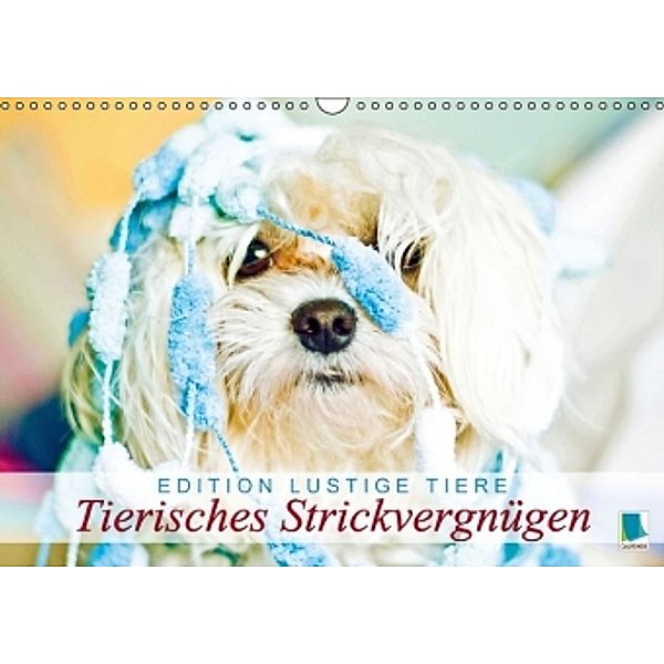 Edition lustige Tiere: Tierisches Strickvergnügen (Wandkalender 2015 DIN A3 quer), Calvendo