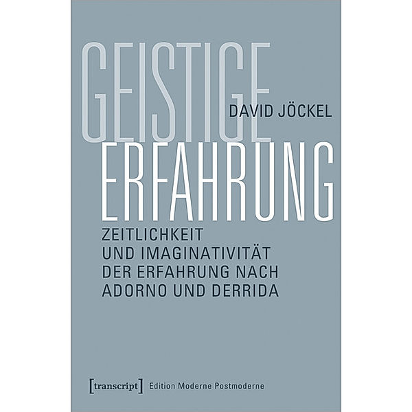 Edition Moderne Postmoderne / Geistige Erfahrung, David Jöckel