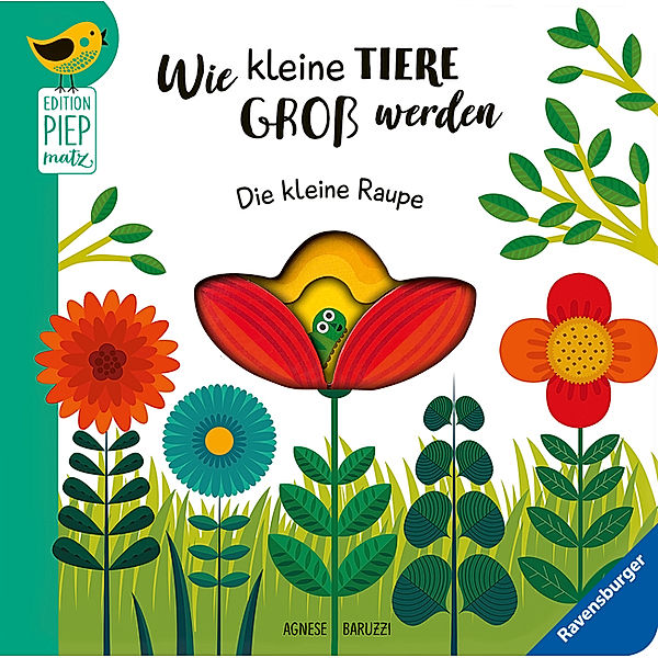 Edition Piepmatz / Edition Piepmatz: Wie kleine Tiere gross werden: Die kleine Raupe, Sandra Grimm