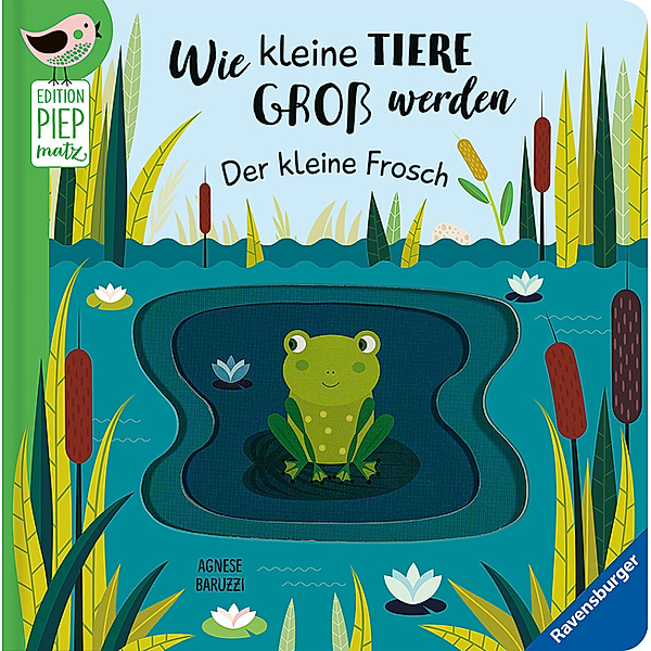 Edition Piepmatz / Edition Piepmatz: Wie kleine Tiere groß werden: Der kleine Frosch, Gabriele Clima