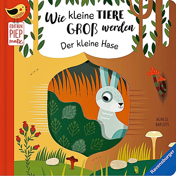 Edition Piepmatz / Wie kleine Tiere groß werden: Der kleine Hase, Gabriele Clima