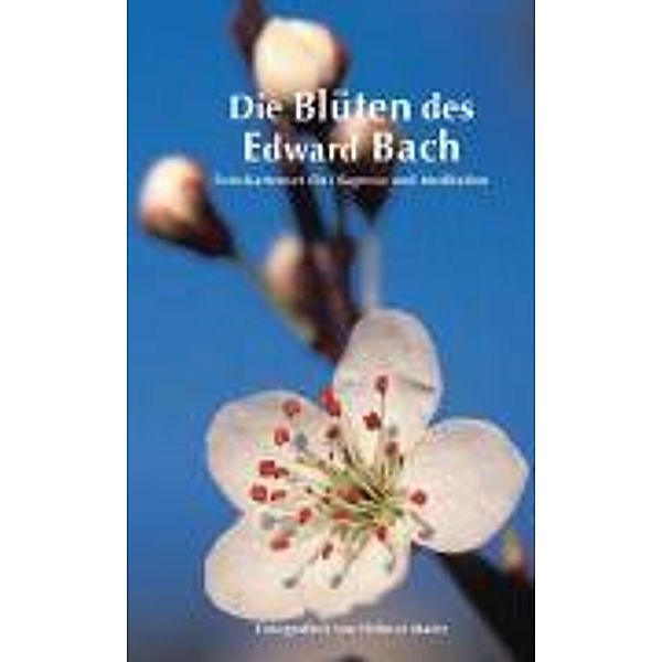 Edition Tirta: Kartenset Die Blüten des Edward Bach, Helmut Maier