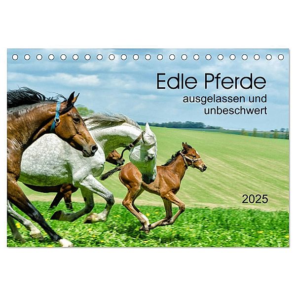 Edle Pferde - ausgelassen und unbeschwert (Tischkalender 2025 DIN A5 quer), CALVENDO Monatskalender, Calvendo, Kerstin Waurick