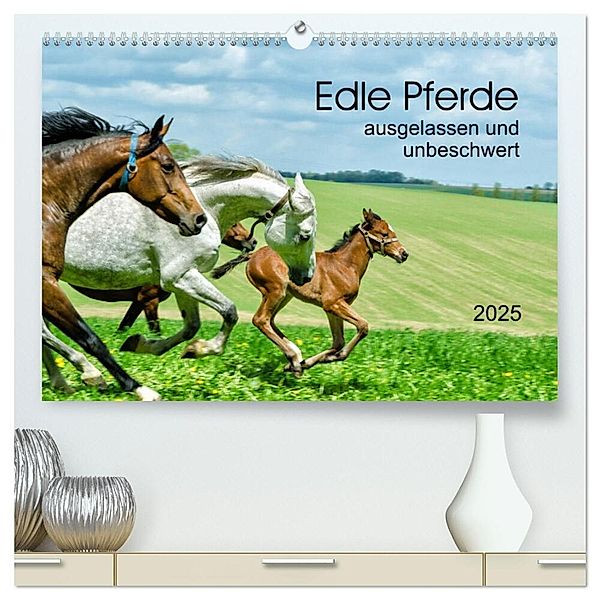 Edle Pferde - ausgelassen und unbeschwert (hochwertiger Premium Wandkalender 2025 DIN A2 quer), Kunstdruck in Hochglanz, Calvendo, Kerstin Waurick