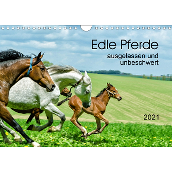 Edle Pferde - ausgelassen und unbeschwert (Wandkalender 2021 DIN A4 quer), Kerstin Waurick