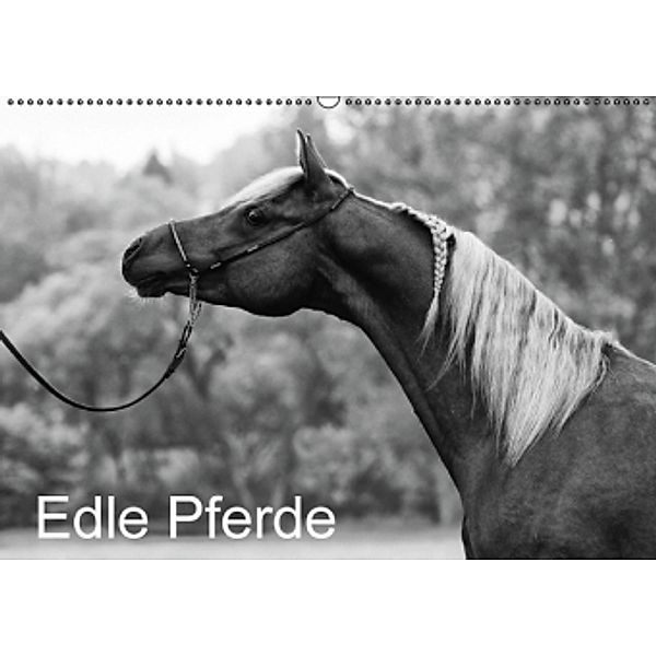 Edle Pferde (Wandkalender 2016 DIN A2 quer), Peter Becker