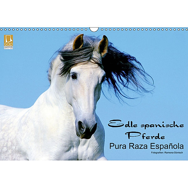 Edle spanische Pferde - Pura Raza Espanola (Wandkalender 2019 DIN A3 quer), Ramona Dünisch