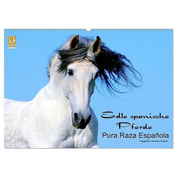 Edle spanische Pferde - Pura Raza Espanola (Wandkalender 2024 DIN A2 quer), CALVENDO Monatskalender, Ramona Dünisch www.Ramona-Duenisch.de