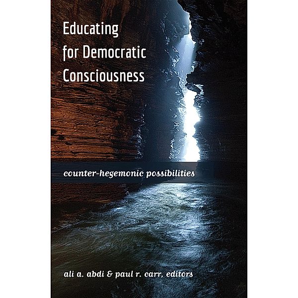 Educating for Democratic Consciousness / Critical Studies in Democracy and Political Literacy Bd.3