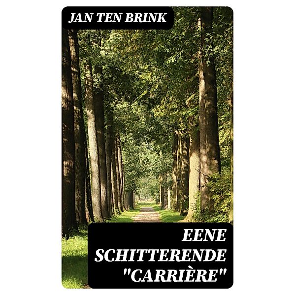 Eene schitterende carrière, Jan ten Brink