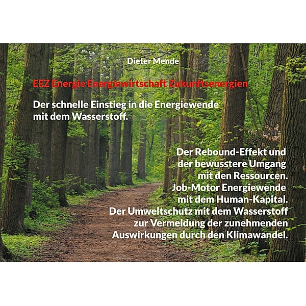EEZ Energie Energiewirtschaft Zukunftsenergien, Dieter Mende