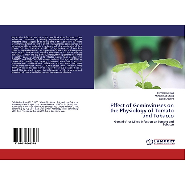 Effect of Geminviruses on the Physiology of Tomato and Tobacco, Sehrish Mushtaq, Muhammad Shafiq, Fakhra Shamim